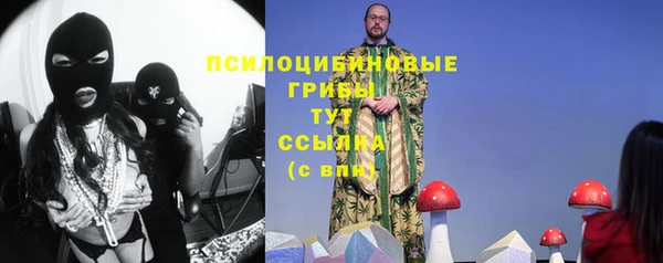 метамфетамин Ельня