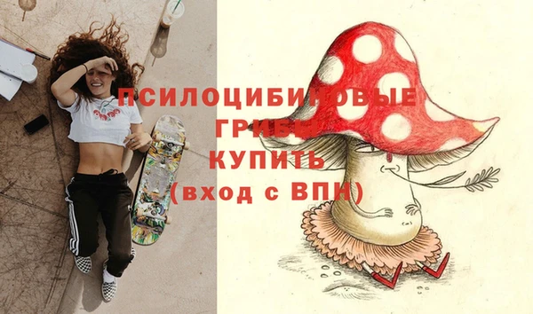 амф Елизово