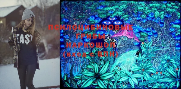 амф Елизово