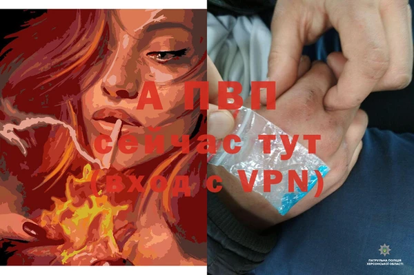 амф Елизово