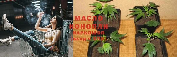 амф Елизово