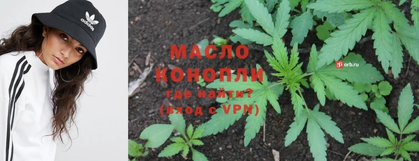 амф Елизово