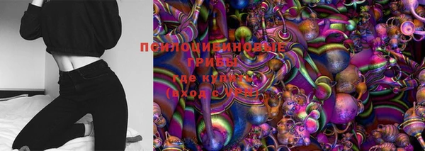 метамфетамин Ельня