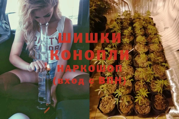 амф Елизово