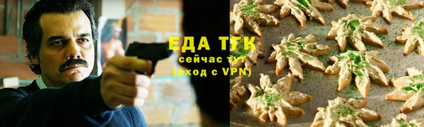 метамфетамин Ельня
