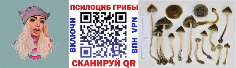 Псилоцибиновые грибы Magic Shrooms  Купить закладки  Сельцо 